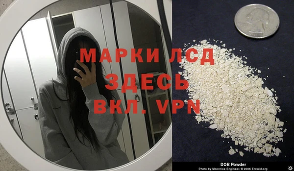 прущая мука Арсеньев